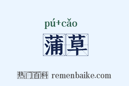 蒲草是什么意思的图片